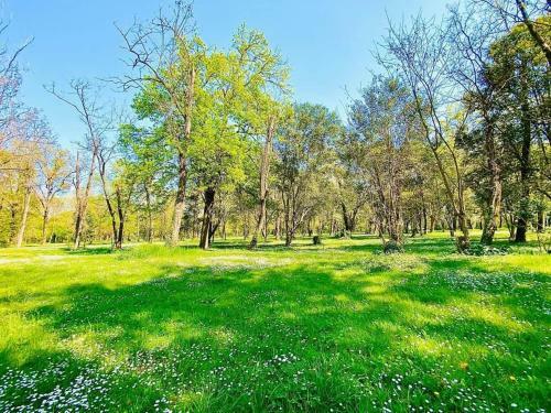 Camping En Ardeche Le Lion