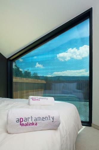 Apartamenty Malinka