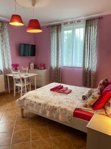 Hostal Villa Kokosowa