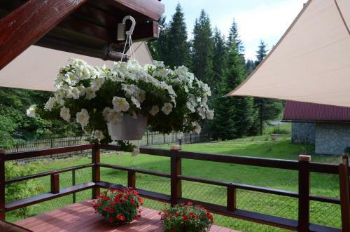Hostal Villa-japonica
