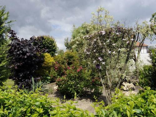 G�te Br�vonnes, 3 Pi�ces, 4 Personnes - Fr-1-543-80
