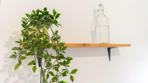 Apartamento Cosy Apparts