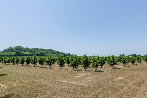 Agroturismo Cahuzac Chateau Sleeps 12 Pool Wifi