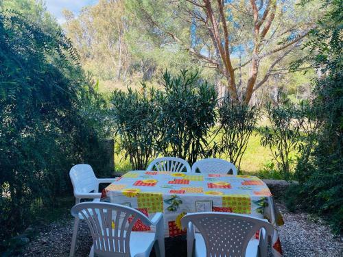 Apartamento Calvi - Studio Proche de La Plage - Studio F7