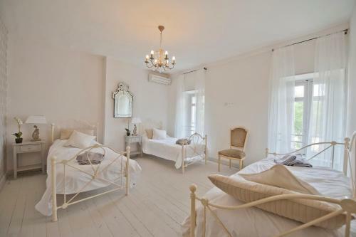 Canet-en-roussillon Chateau Sleeps 14 Pool Air Con