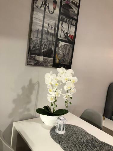 Apartamenty Na Zdrojowej