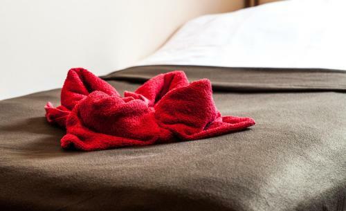 Hostal Go?ciniec Silver