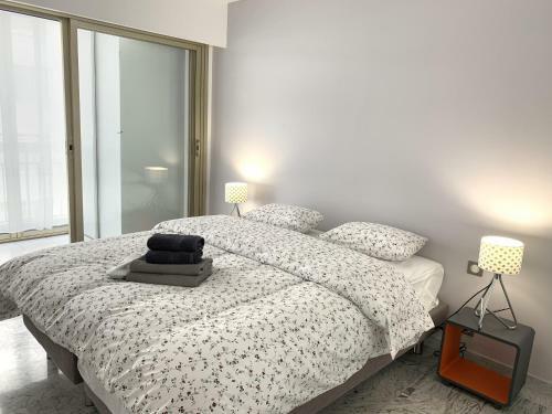 Splendid 2 Bedroom Apartment Very Close To La Croisette