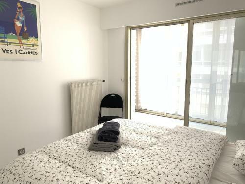 Splendid 2 Bedroom Apartment Very Close To La Croisette