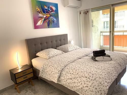 Splendid 2 Bedroom Apartment Very Close To La Croisette