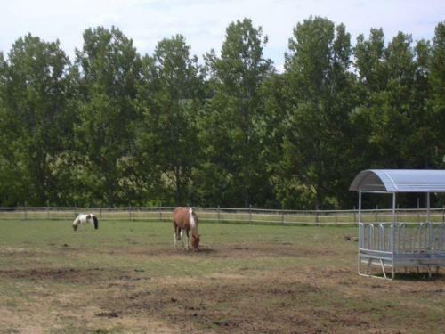 Bed & Breakfast Domaine En Castanet