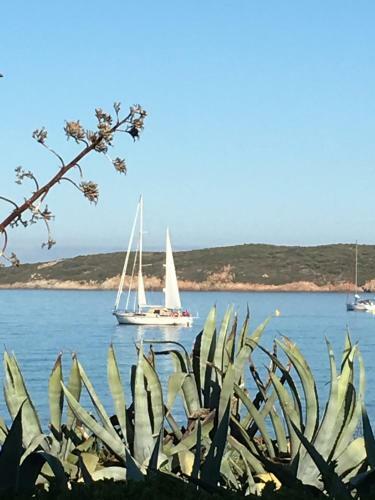 Hotel Thalassa