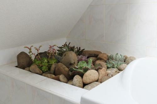 Bed & Breakfast La Truite Qui Chante