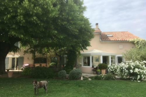 Stunning Property Between Alpilles And Luberon