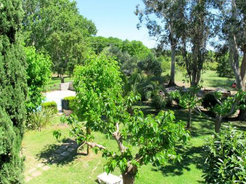 Apartment Valledoro - Mni141