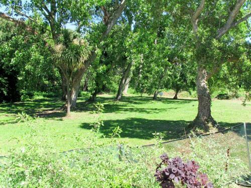Apartment Valledoro - Mni141