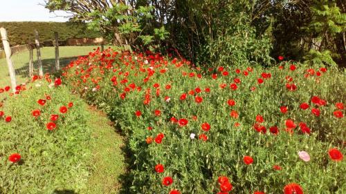 Bed & Breakfast La Pause - Val de Loire (20 Mins - Zoo de Beauval)