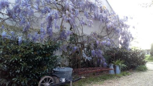 Bed & Breakfast La Pause - Val de Loire (20 Mins - Zoo de Beauval)