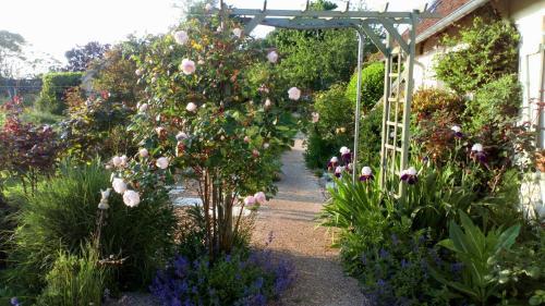 Bed & Breakfast La Pause - Val de Loire (20 Mins - Zoo de Beauval)