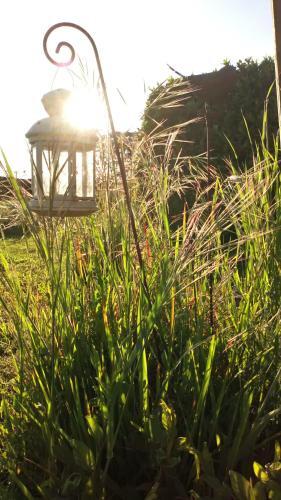 Bed & Breakfast La Pause - Val de Loire (20 Mins - Zoo de Beauval)