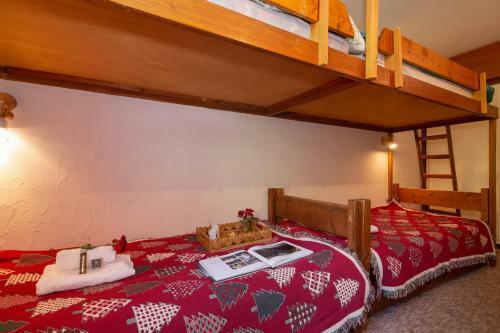 Apartamento R�sidence Grands Montets 313