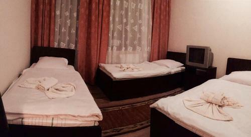 Bed & Breakfast Albatros