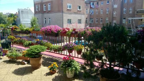 Hotel Ottaviano