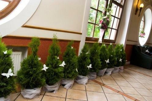 Hotel Jank�w
