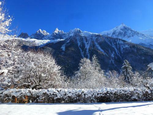 Wooden Chalet With Mountain View In Chamonix