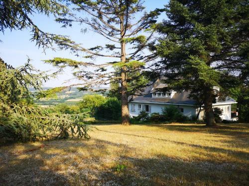 Bed & Breakfast Bellevue