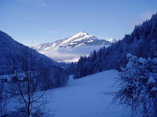 Chalet Belle Vache In Chatel With Hot-tub