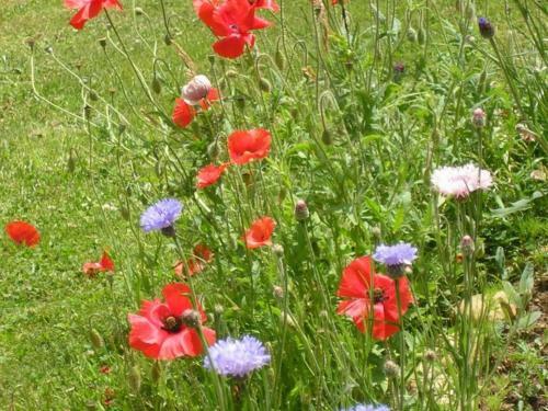 G�te Cherier, 5 Pi�ces, 10 Personnes - Fr-1-496-22