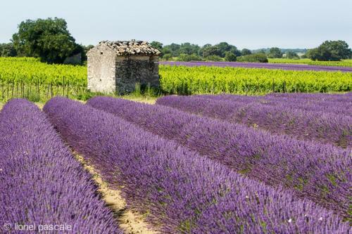 Apartamento Ref 85- La Bergerie Des Sources