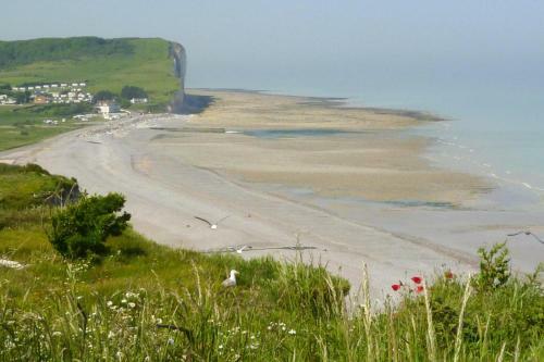 Holiday Home Criel-sur-mer - Nmd01101i-f