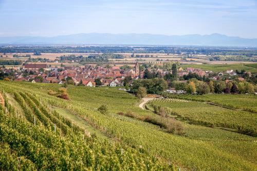 B&B Relais Du Vigneron - Jean-luc Et Bruno Meyer
