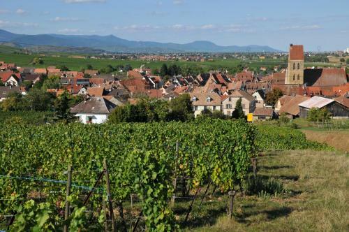 B&B Relais Du Vigneron - Jean-luc Et Bruno Meyer