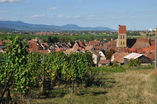 B&B Relais Du Vigneron - Jean-luc Et Bruno Meyer