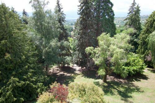Apartament Residencia Montana