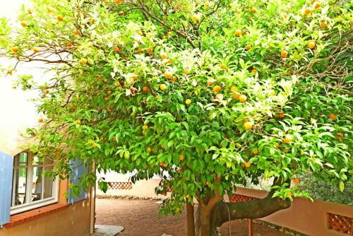 Villa Le Trayas Sup�rieur