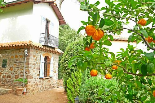 Villa Le Trayas Sup�rieur