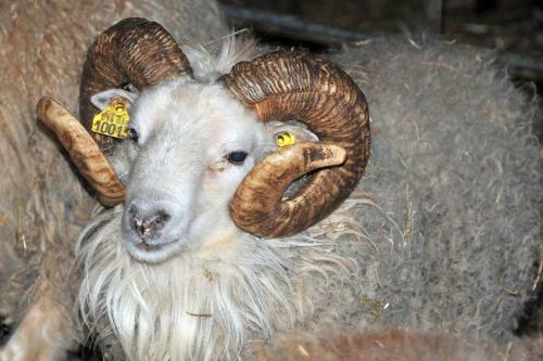 Agroturismo La Ferme de Flo'