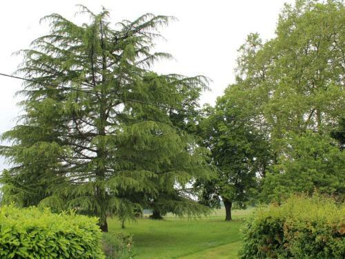 G�te Eymet, 4 Pi�ces, 6 Personnes - Fr-1-616-30