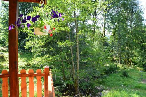 Bed & Breakfast Le Domaine Du Ch�telet