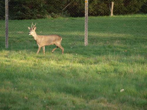 Bed & Breakfast Le Cheminard