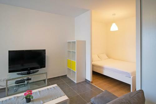 Apartamento Cozy Studio In Ferney-voltaire