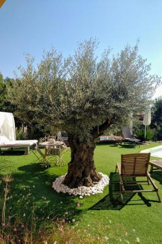 Bed & Breakfast La Chabertine