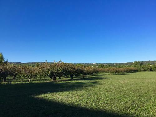 Bed & Breakfast Provence Km28