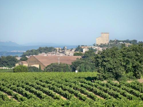 Spacious Mansion In Grignan With Swimming Pool
