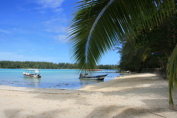 Hotel Hibiscus