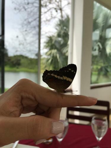 Hotel Vista Lago